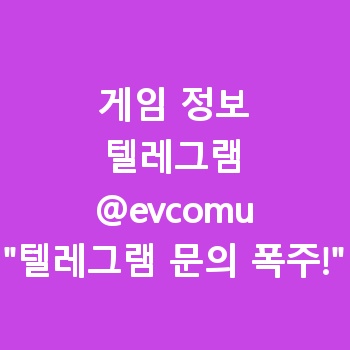 게임 정보