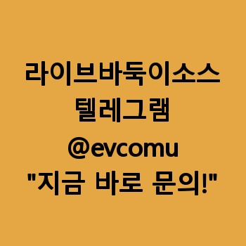 라이브바둑이소스