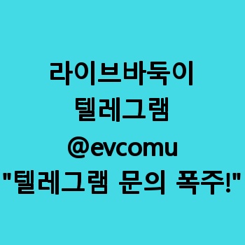 라이브바둑이