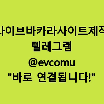 라이브바카라사이트제작