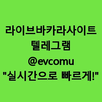 라이브바카라사이트