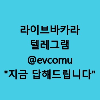 라이브바카라