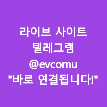라이브 사이트