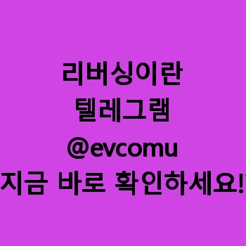 리버싱이란