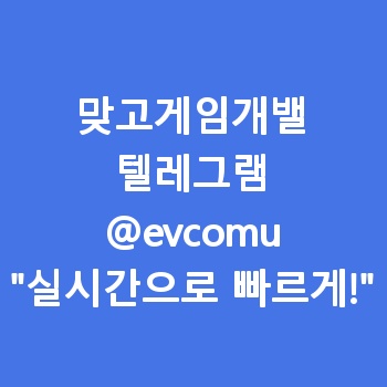 맞고게임개밸