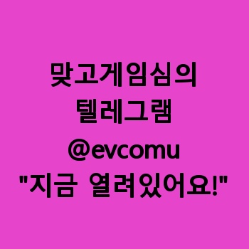 맞고게임심의