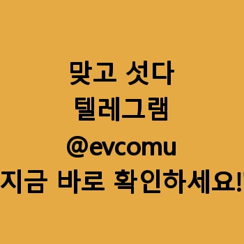 맞고 섯다