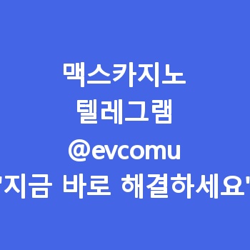 맥스카지노