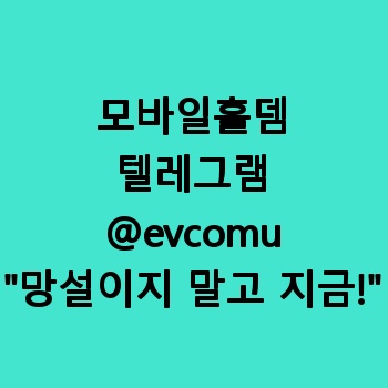 모바일홀뎀