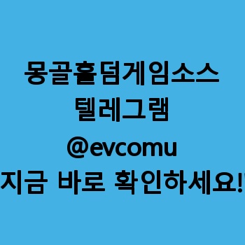 몽골홀덤게임소스