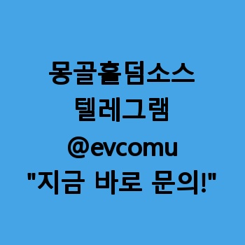 몽골홀덤소스