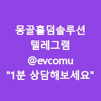 몽골홀덤솔루션