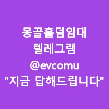 몽골홀덤임대