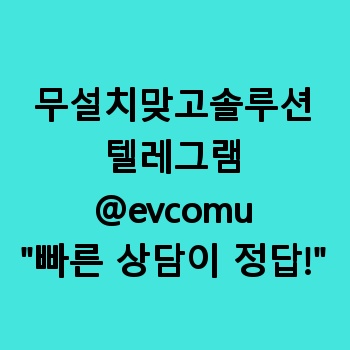 무설치맞고솔루션