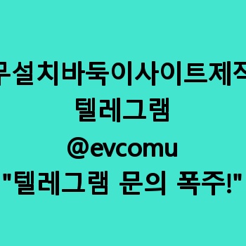 무설치바둑이사이트제작