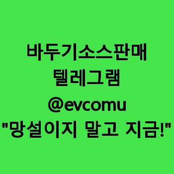 바두기소스판매