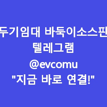 바두기임대 바둑이소스판매