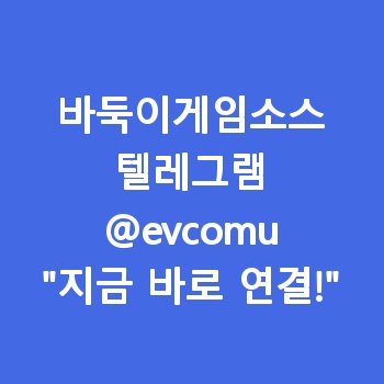 바둑이게임소스