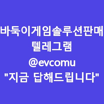 바둑이게임솔루션판매
