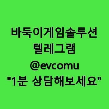 바둑이게임솔루션