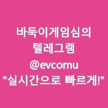 바둑이게임심의