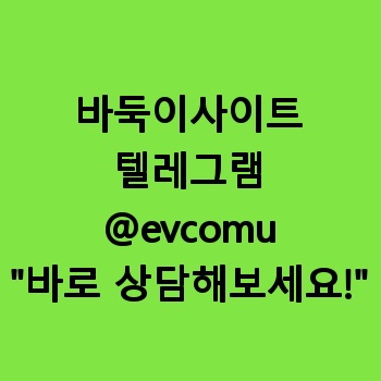 바둑이사이트