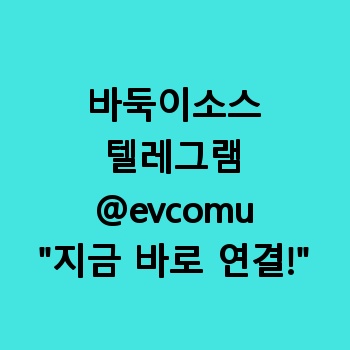 바둑이소스
