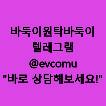 바둑이원탁바둑이