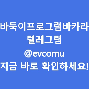 바둑이프로그램바카라