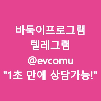 바둑이프로그램