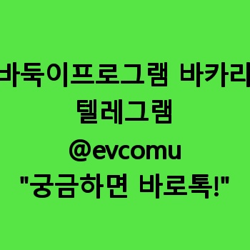 바둑이프로그램 바카라