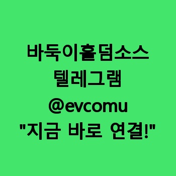 바둑이홀덤소스