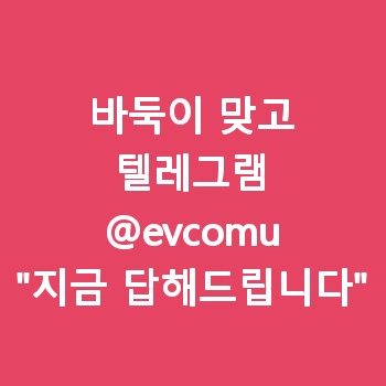 바둑이 맞고