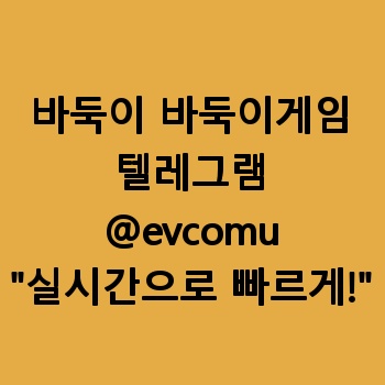 바둑이 바둑이게임