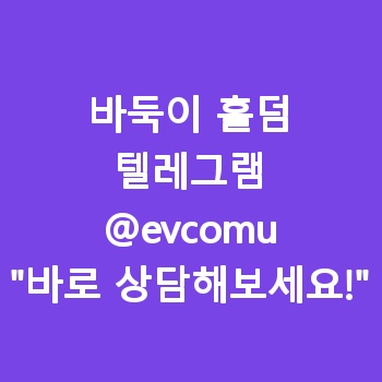바둑이 홀덤