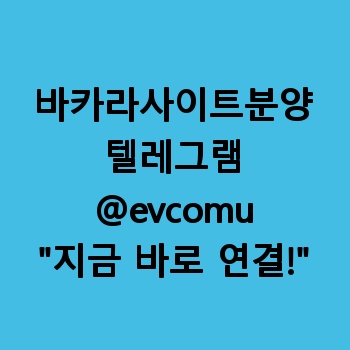 바카라사이트분양