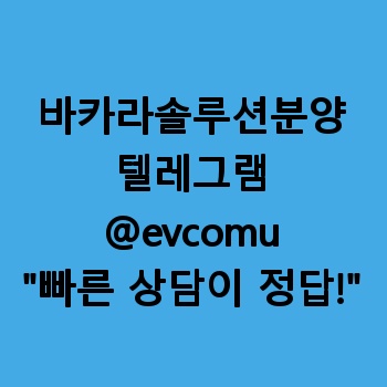 바카라솔루션분양