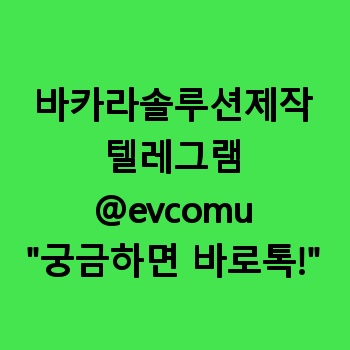 바카라솔루션제작