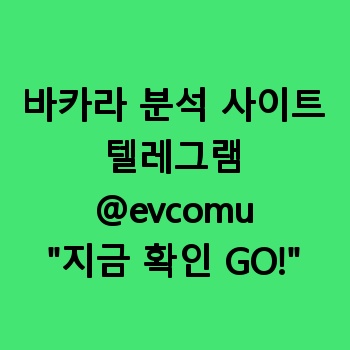 바카라 분석 사이트