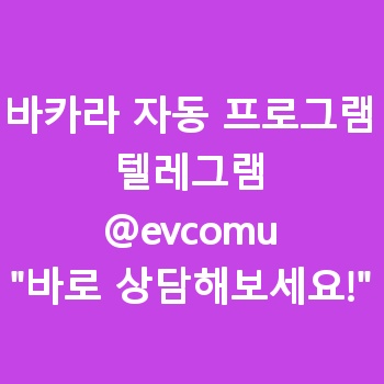 바카라 자동 프로그램