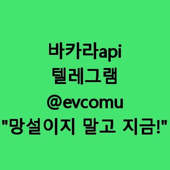 바카라api