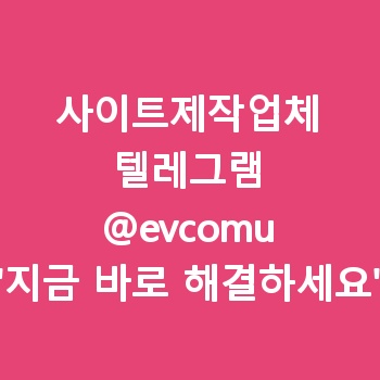 사이트제작업체