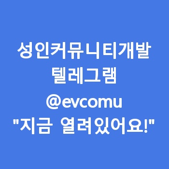 성인커뮤니티개발