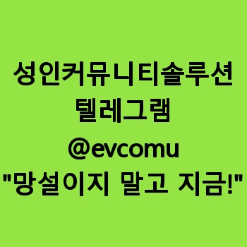 성인커뮤니티솔루션