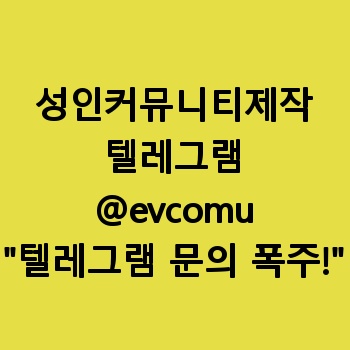 성인커뮤니티제작