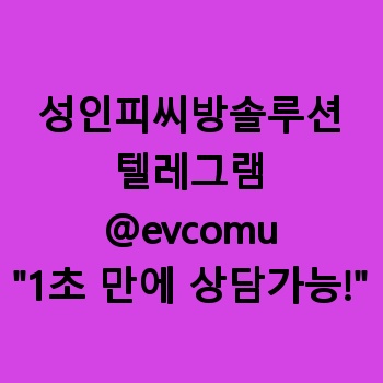 성인피씨방솔루션
