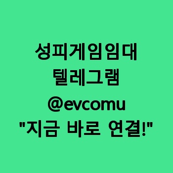 성피게임임대