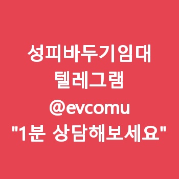 성피바두기임대
