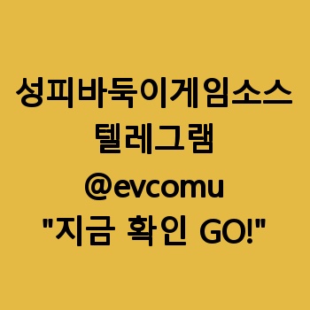 성피바둑이게임소스