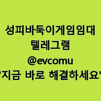 성피바둑이게임임대